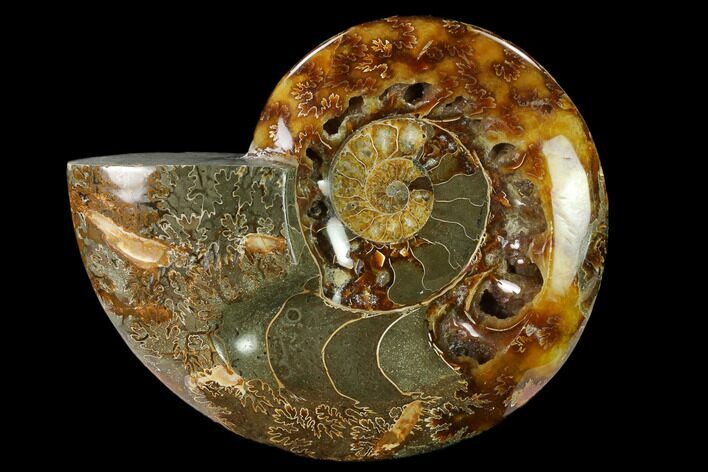 Wide Polished Fossil Ammonite Dish - Inlaid Ammonite #137410